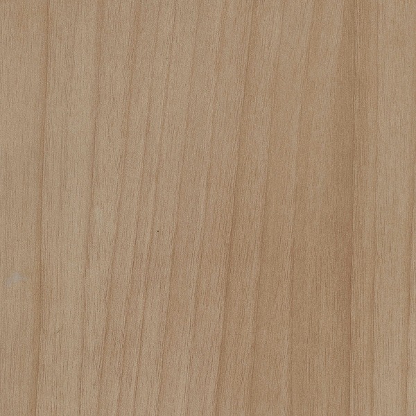 White Ash Woodgrain Pattern